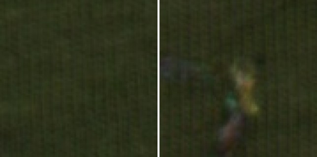 Comparação referência vs contaminação